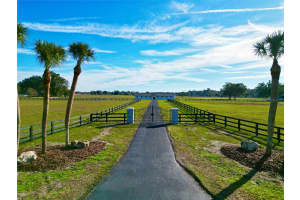 16970 S HIGHWAY 475, SUMMERFIELD, FL 34491 Sold 09/15/25