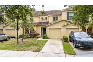 10821 Great Carlisle Ct, RIVERVIEW