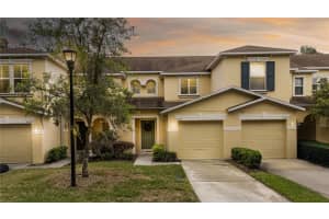 10821 GREAT CARLISLE COURT, RIVERVIEW, FL 33578 - MLS#MFRR4909349