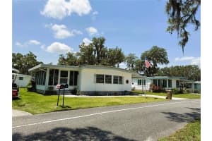 313 PALO VERDE DRIVE, LEESBURG, FL 34748 - MLS#MFRR4909365
