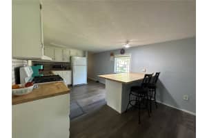 55045 6TH STREET, ASTOR, FL 32102 - MLS#MFRR4909684