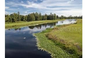 204 RAULERSON ROAD, SEVILLE, FL 32190 - MLS#MFRR4909703