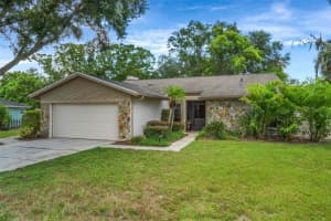 2330 Windsor Oaks Ave, LUTZ