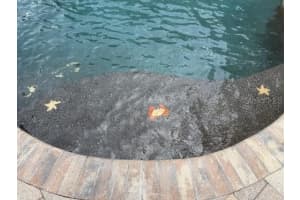 2330 WINDSOR OAKS AVENUE, LUTZ, FL 33549 Sold 09/30/25