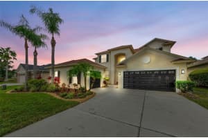 3033 Stonegate Falls Dr, LAND O LAKES