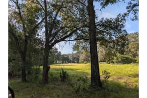 NE 127TH, FORT MC COY, FL 32134 - MLS#MFRR4909876