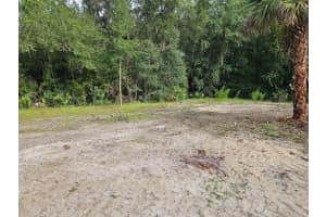 1460 WASHINGTON STREET, BUNNELL, FL 32110 - MLS#MFRR4909894