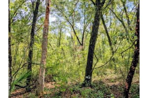 BRIGHT WAY, DELAND, FL 32720 - MLS#MFRR4909923