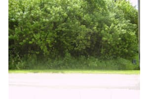 321 CAEN COURT, KISSIMMEE, FL 34759 - MLS#MFRR4909986