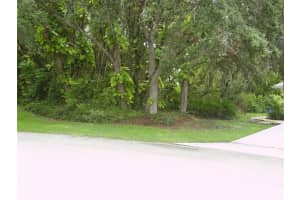 410 ANISE PLACE, KISSIMMEE, FL 34759 - MLS#MFRR4909988