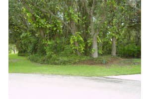 410 ANISE PLACE, KISSIMMEE, FL 34759 - MLS#MFRR4909988