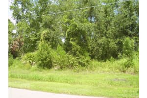 431 DOVE DRIVE, KISSIMMEE, FL 34759 - MLS#MFRR4909990