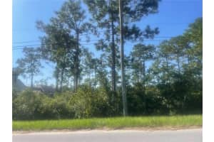 SABAL, ORLANDO, FL 32833 - MLS#MFRR4910168