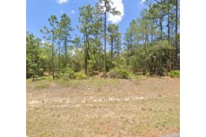 3271 MONTGOMERY LANE, CITRUS SPRINGS, FL 34433 - MLS#MFRR4910199