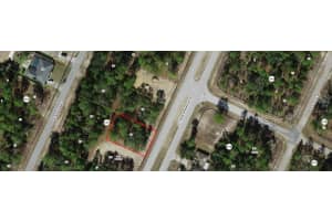 8900 CITRUS SPRINGS BOULEVARD, CITRUS SPRINGS, FL 34433 - MLS#MFRR4910202