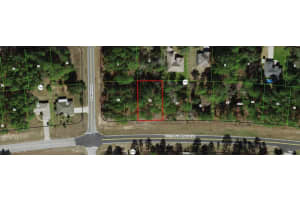 1695 CITRUS SPRINGS BOULEVARD, CITRUS SPRINGS, FL 34434 - MLS#MFRR4910203