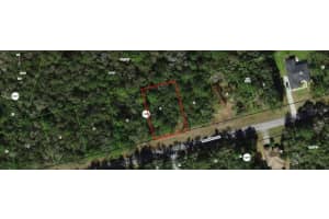 10205 ATHENIA DRIVE, CITRUS SPRINGS, FL 34434 - MLS#MFRR4910204
