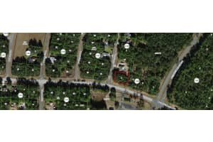 11007 FUEGO DRIVE, CITRUS SPRINGS, FL 34434 - MLS#MFRR4910206