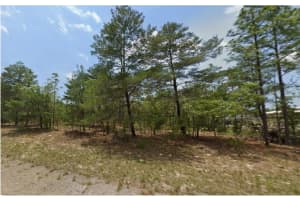 6320 CHESTNUT TERRACE, DUNNELLON, FL 34433 - MLS#MFRR4910208
