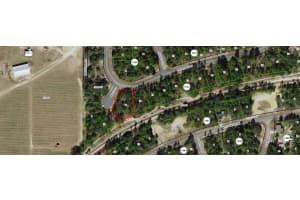 11247 ELY POINT, DUNNELLON, FL 34433 - MLS#MFRR4910239