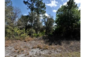 GASKINS CIR, NORTH PORT, FL 34288 - MLS#MFRR4910241