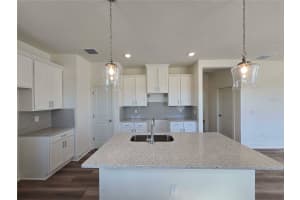 3841 DAYBREAK RUN LOOP, SPRING HILL, FL 34609 - MLS#MFRR4910269