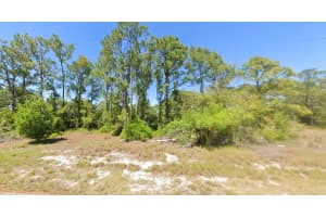 348 GLEAMING AVENUE, LAKE PLACID, FL 33852 - MLS#MFRR4910319