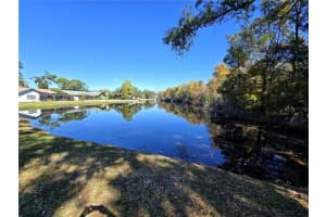 2940 CYPRESS RIDGE, PALM HARBOR, FL 34684 - MLS#MFRR4910323