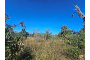 786 FORT FLORIDA ROAD, DEBARY, FL 32713 - MLS#MFRR4910393