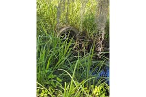 786 FORT FLORIDA ROAD, DEBARY, FL 32713 - MLS#MFRR4910393