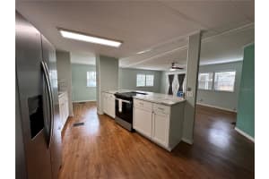 24007 RIVER ROAD, ASTOR, FL 32102 - MLS#MFRR4910422