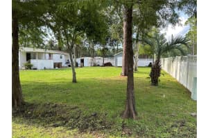 24302 MAXWELL STREET, ASTOR, FL 32102 - MLS#MFRR4910456