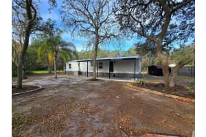 43541 DIXIE DRIVE, PAISLEY, FL 32767 - MLS#MFRR4910596