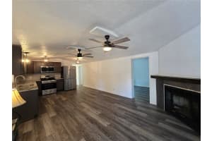 43541 DIXIE DRIVE, PAISLEY, FL 32767 - MLS#MFRR4910596