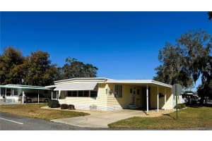 501 PALO VERDE DRIVE, LEESBURG, FL 34748 - MLS#MFRR4910602