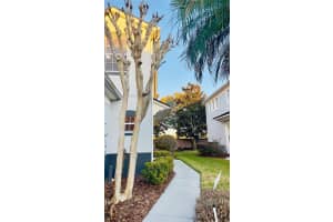 1251 SHALLCROSS AVENUE, ORLANDO, FL 32828 - MLS#MFRR4910686