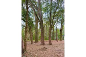 43 PINE TRACE COURSE, OCALA, FL 34472 - MLS#MFRR4910725
