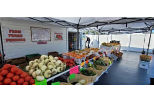 3351 BAHIA VISTA STREET, SARASOTA, FL 34239 - MLS#MFRR4910736