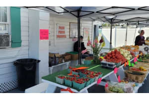 3351 BAHIA VISTA STREET, SARASOTA, FL 34239 - MLS#MFRR4910736