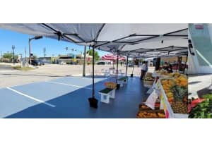 3351 BAHIA VISTA STREET, SARASOTA, FL 34239 - MLS#MFRR4910736