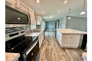 55744 HOLIDAY CIRCLE, ASTOR, FL 32102 - MLS#MFRR4910767