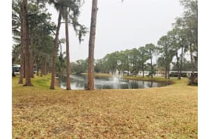 316 PALO VERDE DRIVE, LEESBURG, FL 34748 - MLS#MFRR4910792