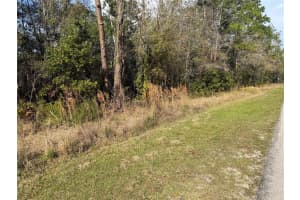 8824 SUN N LAKE BOULEVARD, SEBRING, FL 33872 - MLS#MFRR4910846
