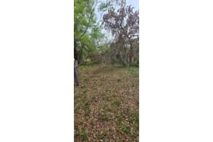 810 14TH STREET, LAKELAND, FL 33805 - MLS#MFRR4910882