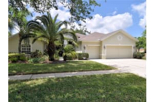 15304 BELLAMY ROAD, TAMPA, FL 33625 - MLS#MFRR4911043