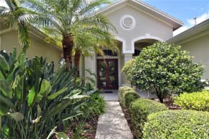 15304 BELLAMY ROAD, TAMPA, FL 33625 - MLS#MFRR4911043