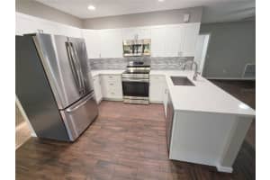 1608 SAN ROY DRIVE, DUNEDIN, FL 34698 - MLS#MFRR4911081