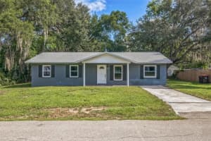 5243 Se 114th St, BELLEVIEW