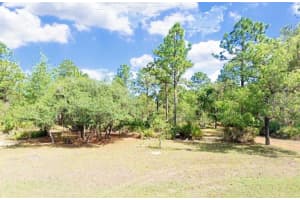 5719 STOCKHOLM LANE, DUNNELLON, FL 34433 - MLS#MFRR4911170