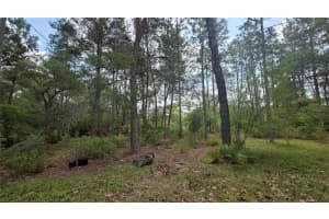 5719 STOCKHOLM LANE, DUNNELLON, FL 34433 - MLS#MFRR4911170